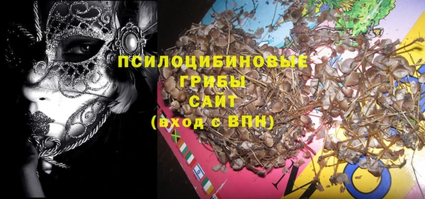 ECSTASY Инсар