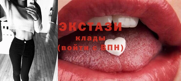 ECSTASY Инсар