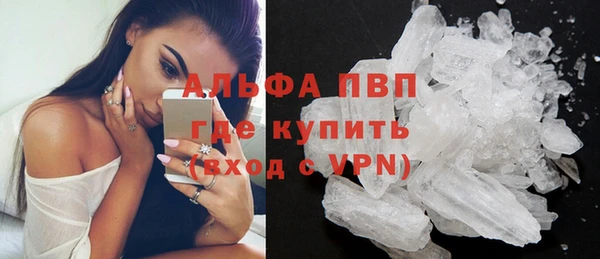 гашик Инта