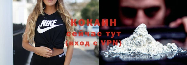 ECSTASY Инсар
