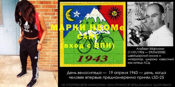 гашик Инта