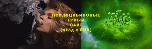 ECSTASY Инсар