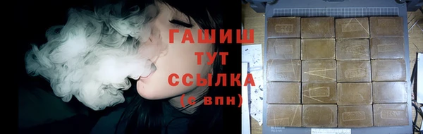 гашик Инта
