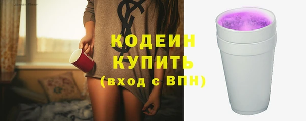 ECSTASY Инсар