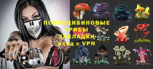 гашик Инта