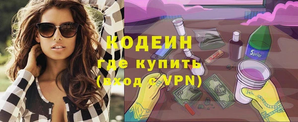 гашик Инта