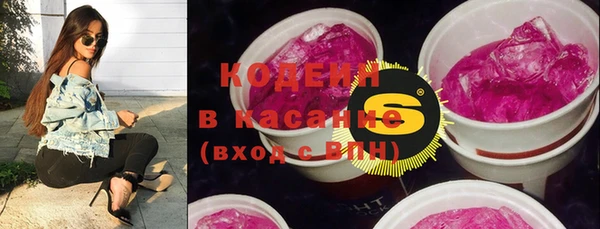 гашик Инта