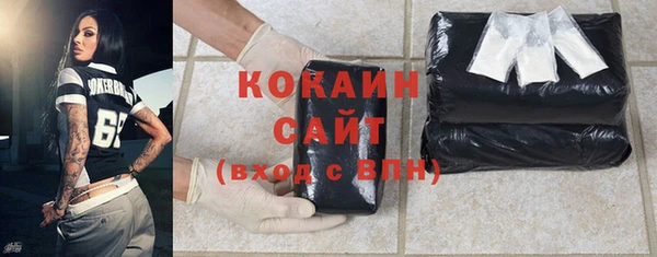 ECSTASY Инсар