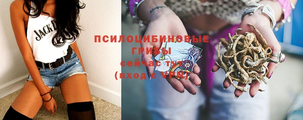 ECSTASY Инсар