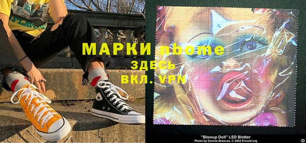 гашик Инта