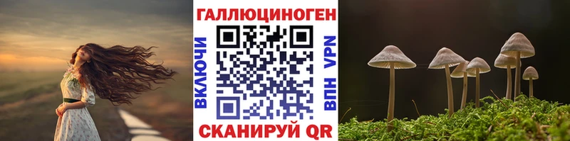 Купить закладки  Обь  Галлюциногенные грибы мицелий 